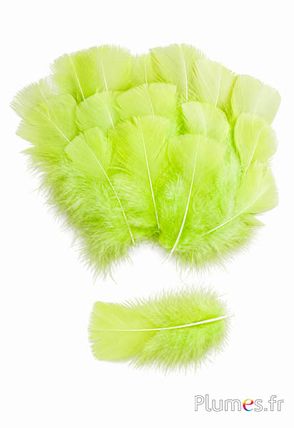 Tacchina - 6-8 cm -  anice